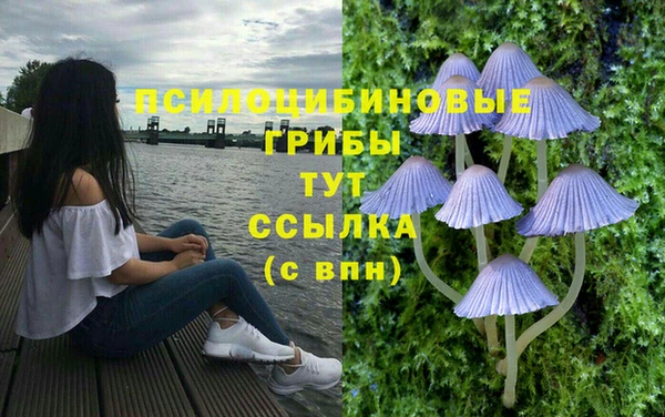 а пвп мука Липки
