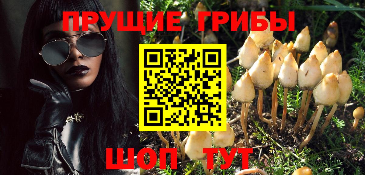 Чапаевск  Псилоцибиновые грибы MAGIC MUSHROOMS  Вход с VPN 
