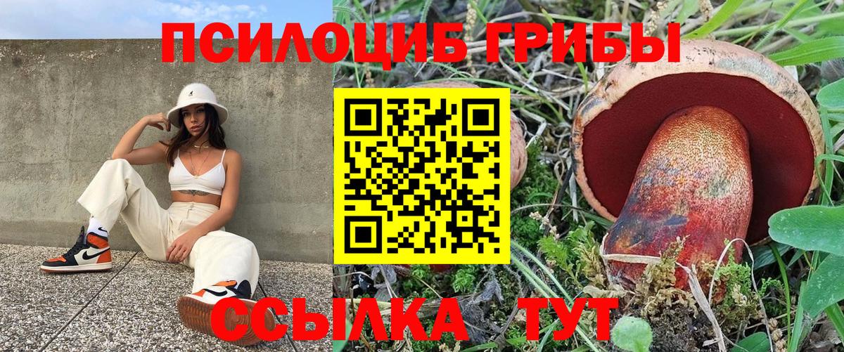 Псилоцибиновые грибы Cubensis Чапаевск